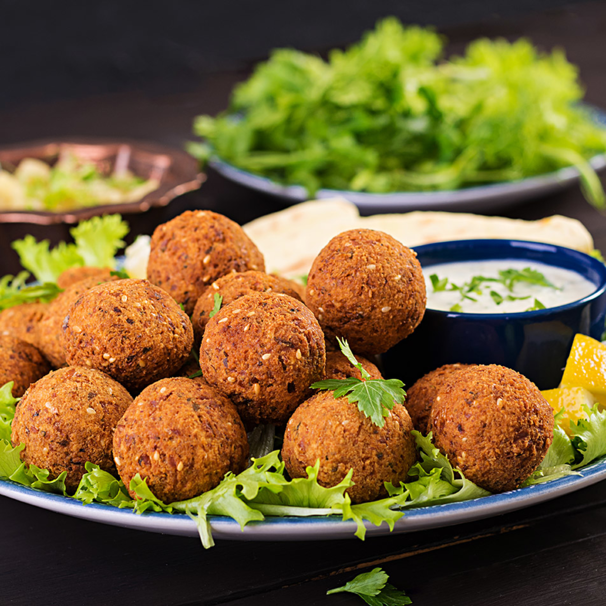 falafel-hummus-and-pita-middle-eastern-or-arabic-FJKQUGT-copy