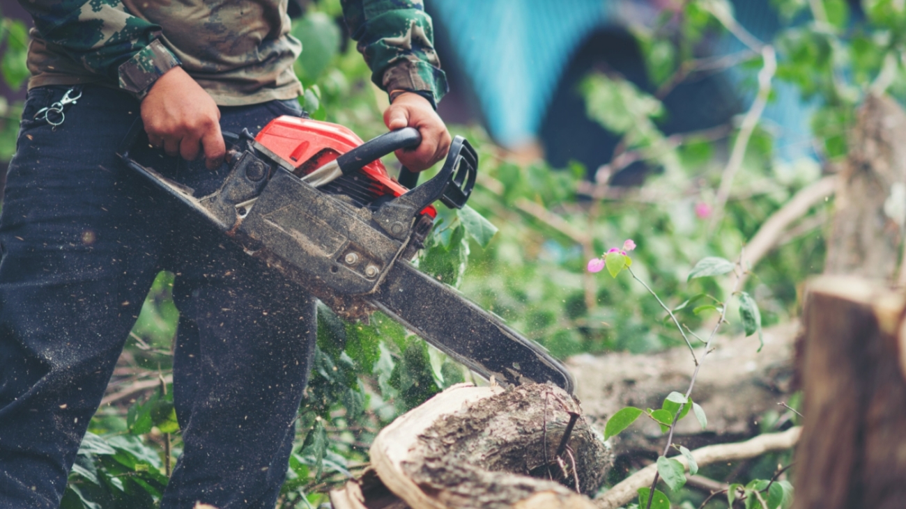asian-man-cutting-trees-using-electrical-chainsaw